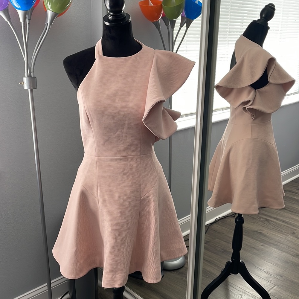 NWT C/Meo Collective Blush Pink Ruffle Fit and Flare Dress